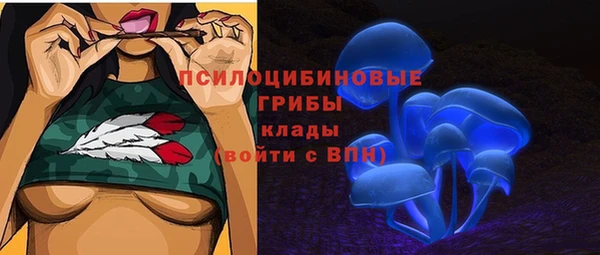 винт Алзамай