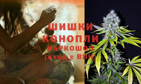 винт Алзамай
