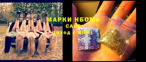 винт Алзамай