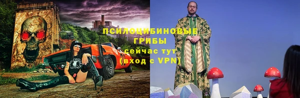 винт Алзамай