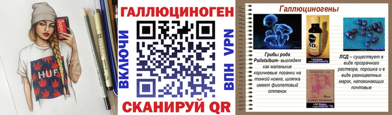 цена   Липки  Псилоцибиновые грибы Psilocybe 
